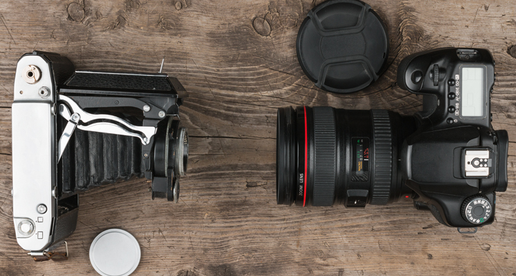 Cosa significa reflex? Tutto sulla sua origine e le caratteristiche