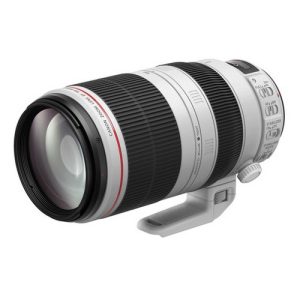 Foto principale Obiettivo Reflex Canon EF 100-400mm F/4.5-5.6 L IS II USM