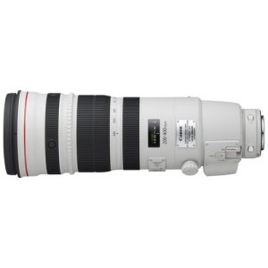 Foto principale Obiettivo Reflex Canon EF 200-400mm F/4 L IS USM Extender 1.4x