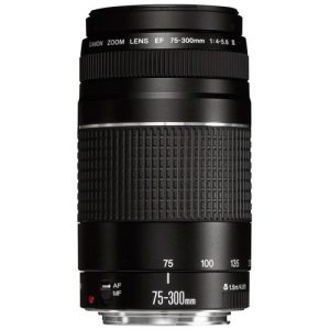 Foto principale Obiettivo Reflex Canon EF 75-300mm F/4-5.6 III
